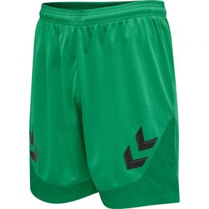 Lead Poly Shorts 
