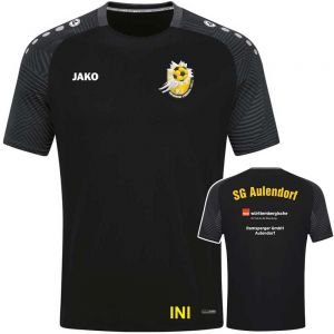SG Aulendorf Jugend T-Shirt 